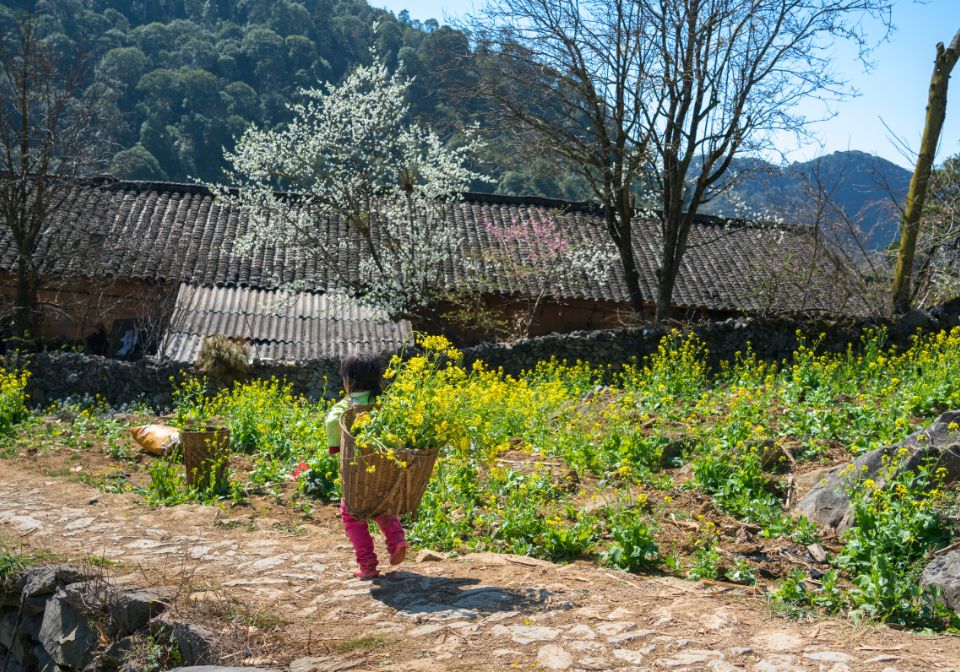 hagiang vietnam