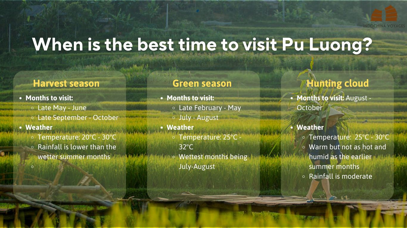 Best month to visit to Pu Luong infographic