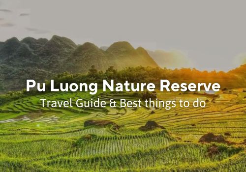 Pu Luong Nature Reserve – 7 Best things to do & Travel Guide