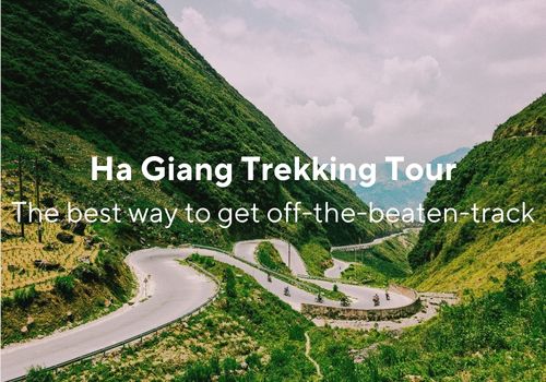 Ha Giang trekking tour: The best way to get off-the-beaten-track