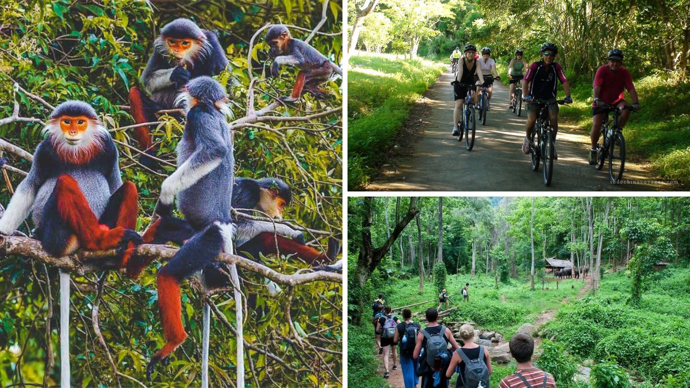 Cuc Phuong National Park