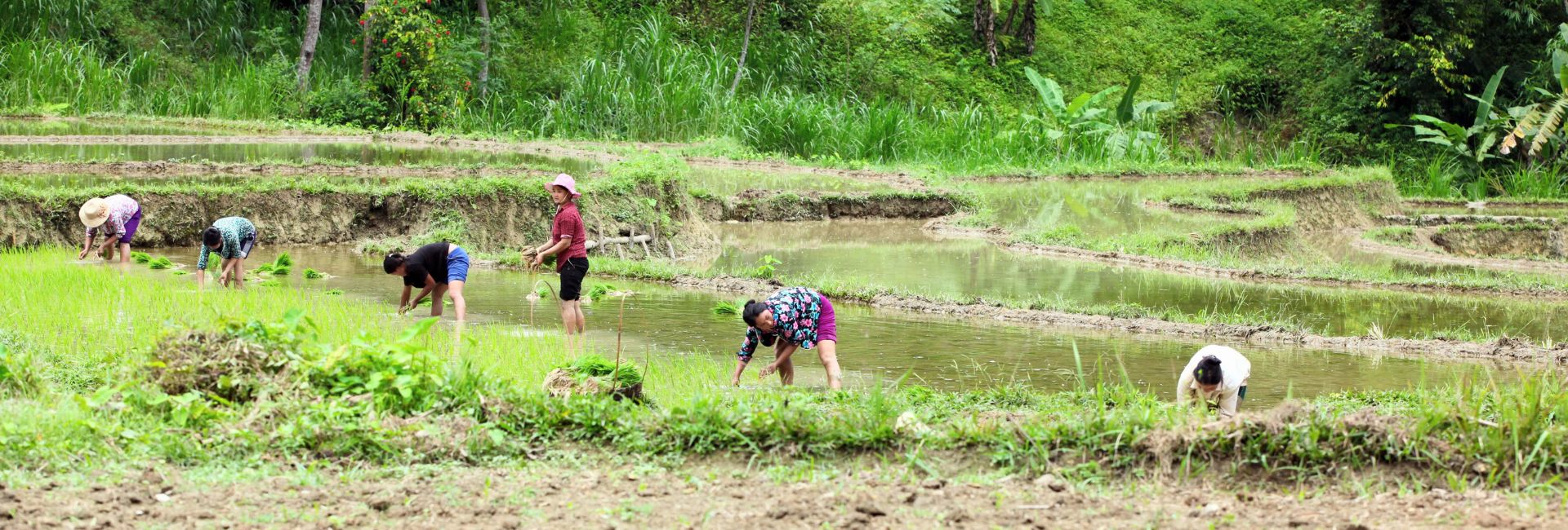 How to get from Ninh Binh to Pu Luong? – Transport options and best things to do