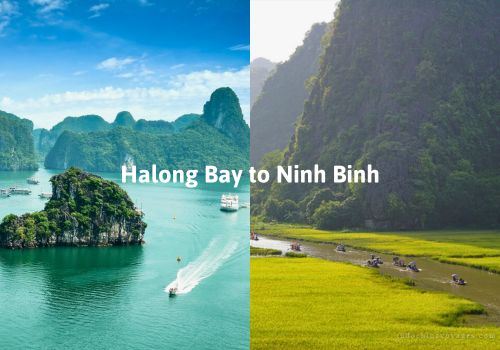 How to get from Halong Bay to Ninh Binh? – Transport guide & Travel tips