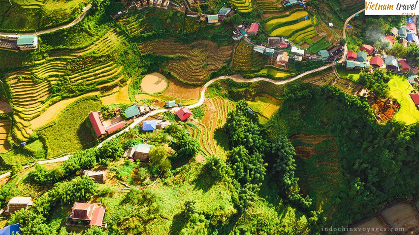 Charm of Muong Hoa Valley from above