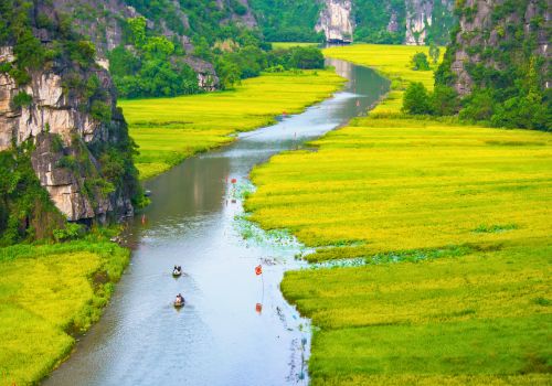 Ninh Binh or Halong: A Detail Comparative Guide for First-Time Travelers