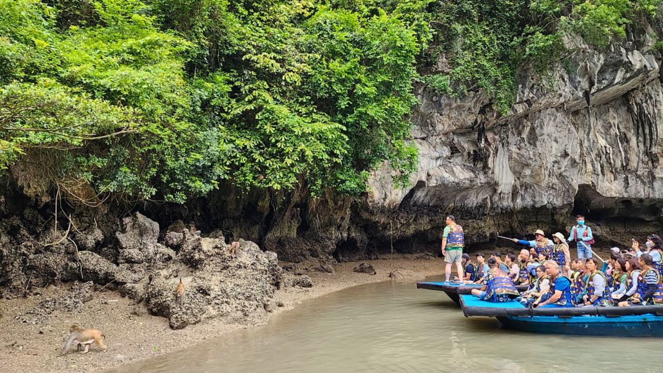 Explore Luon Cave by a boat tour