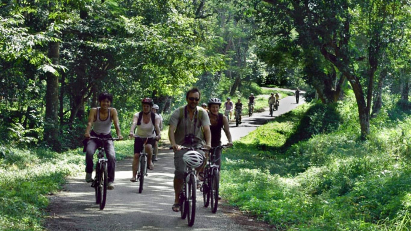 Cycling around forest at Cuc Phuong National Park