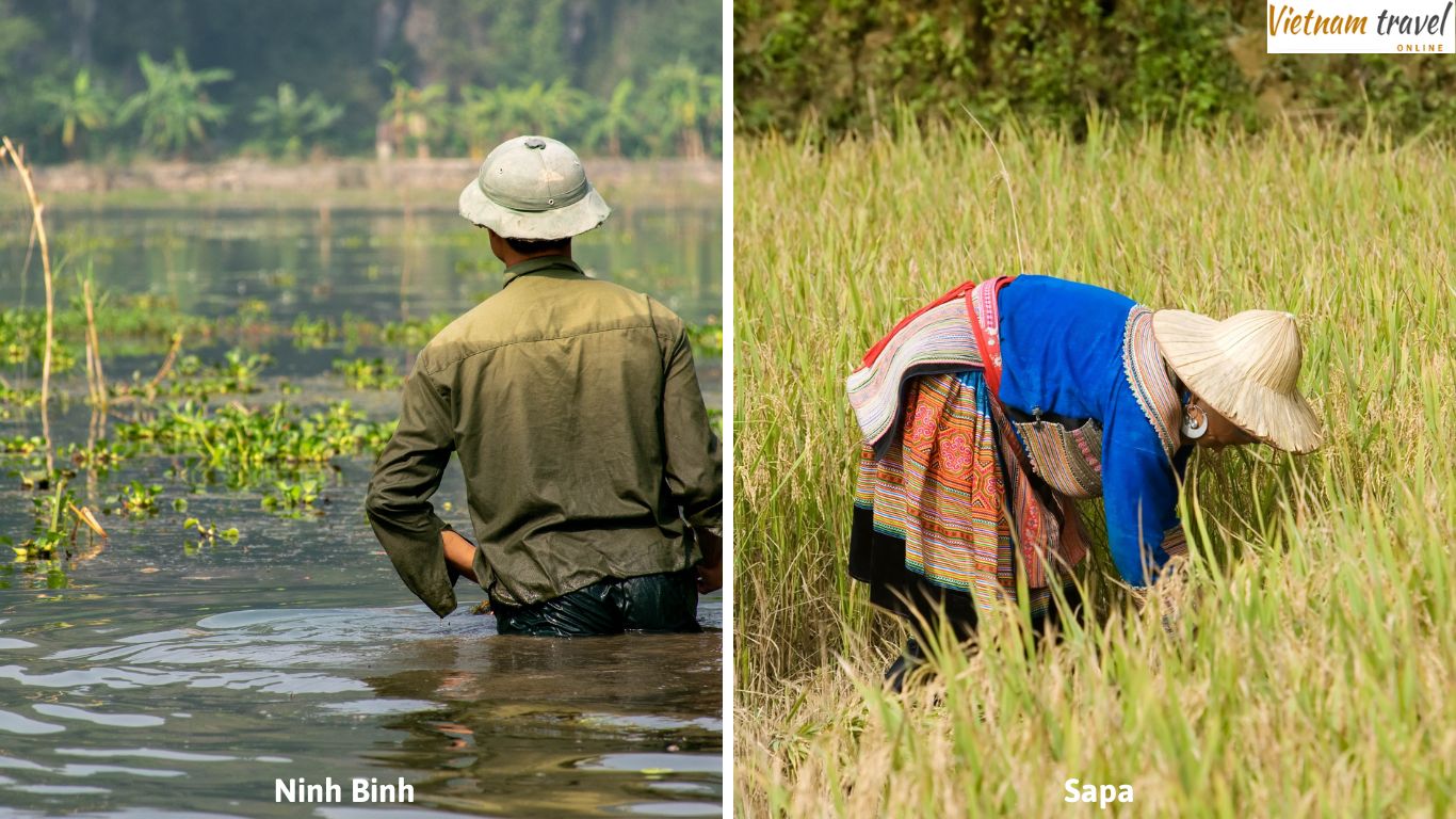 From Ninh Binh to Sapa