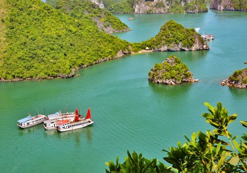 Halong Bay in January – Weather Guide, Best Activities & Local Tips