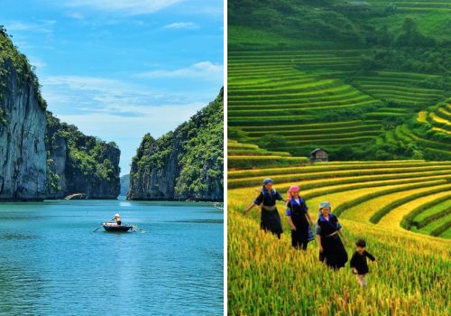 How to get from Halong Bay to Sapa? – Transport options & Perfect itinerary