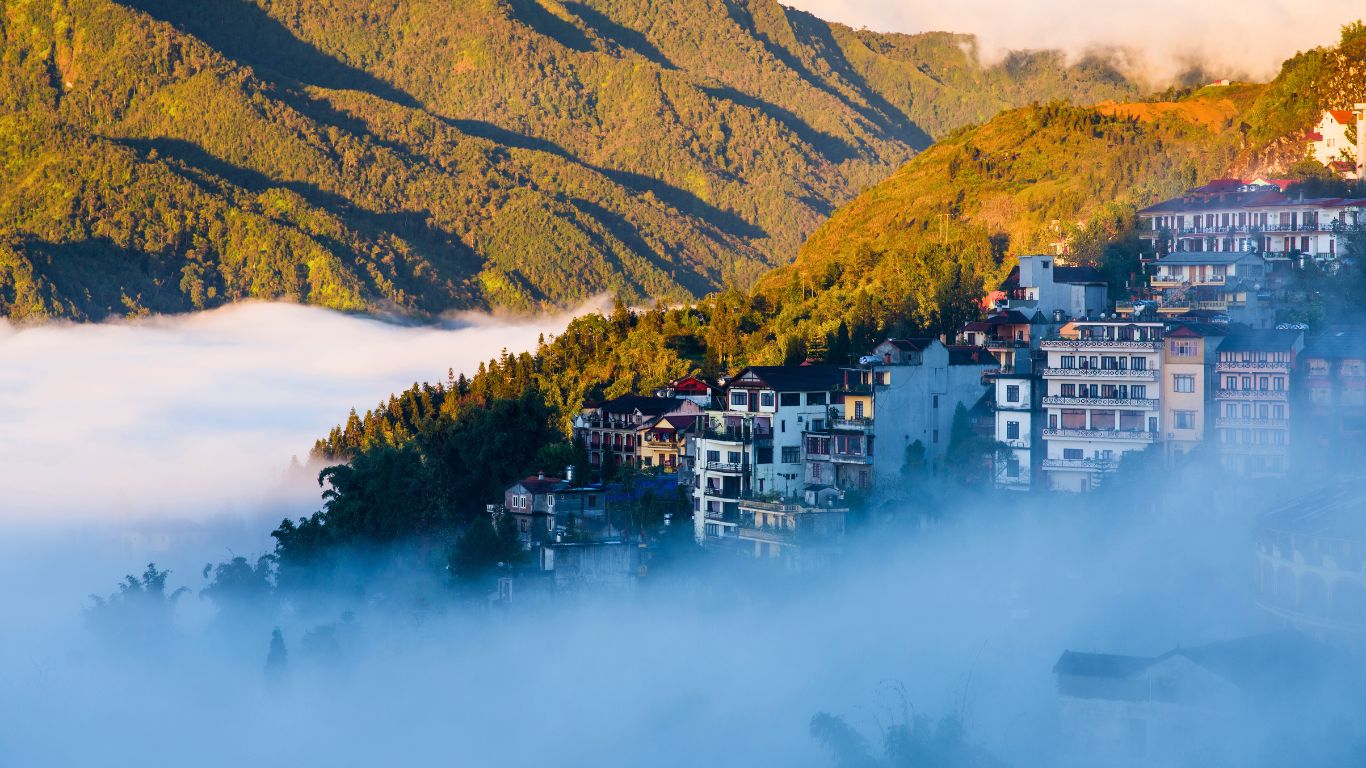 Sapa fog in January