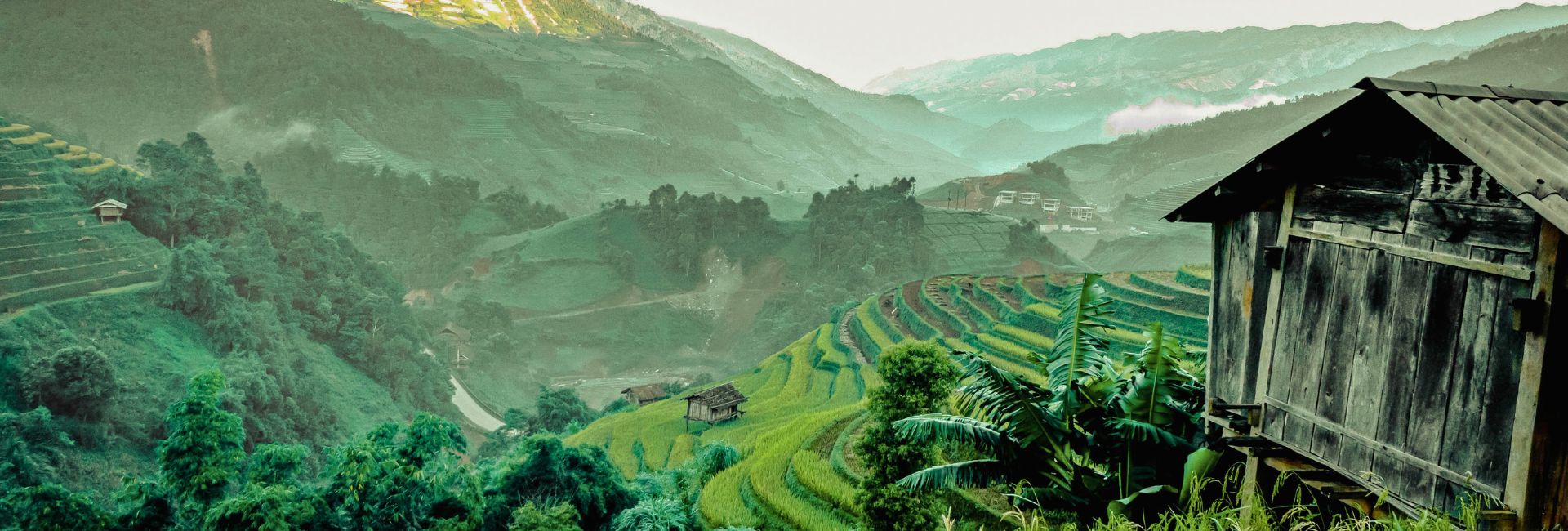 Sapa in February – Weather, Best things to do & Perfect itinerary