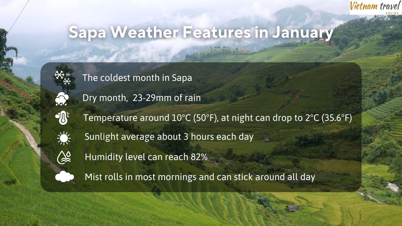 Sapa weather features in January