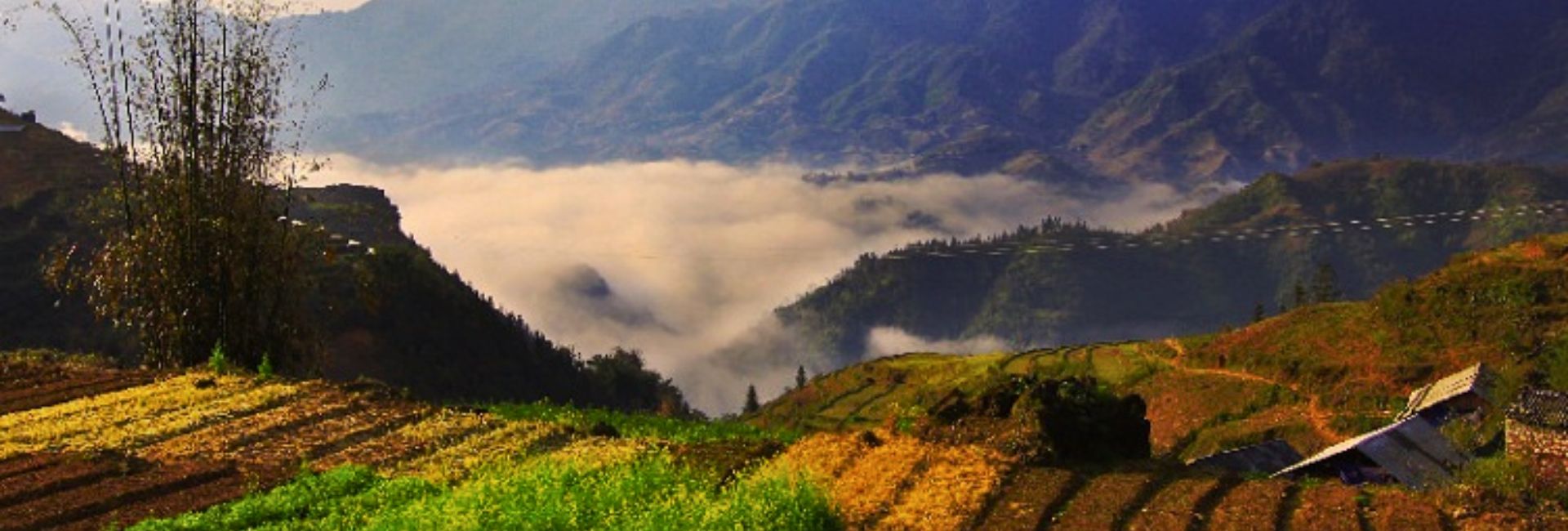 Sapa in March – Weather, Best things to do and Travel tips