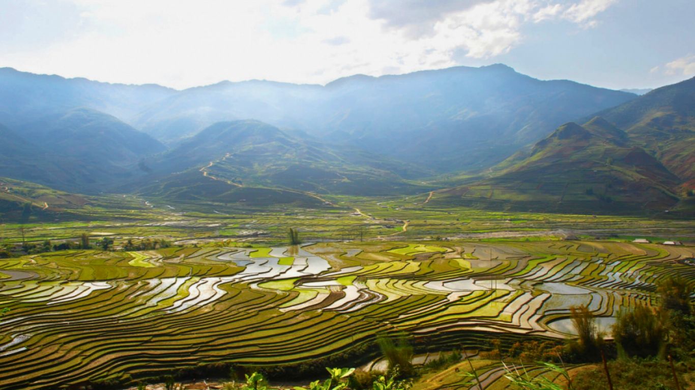 Charming Sapa rice fields in water-pouring season