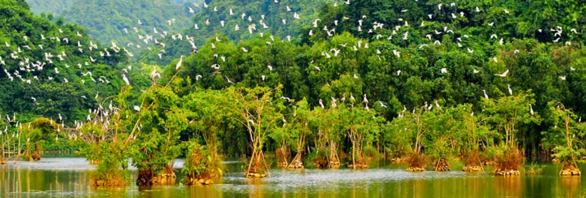 Is it worth visiting Thung Nham Bird Park? Ideal time to visit