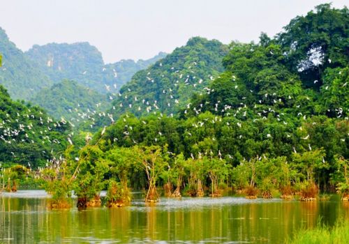 Is it worth visiting Thung Nham Bird Park? Ideal time to visit