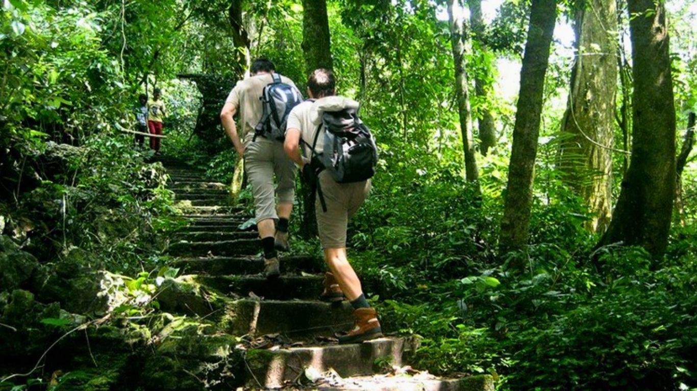 Trekking at Cuc Phuong National Park