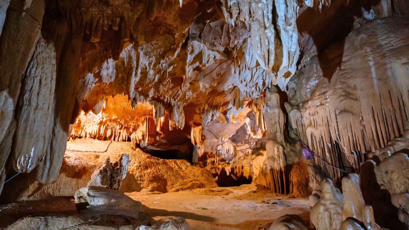 Vai Gioi Cave Thung Nham Bird Park