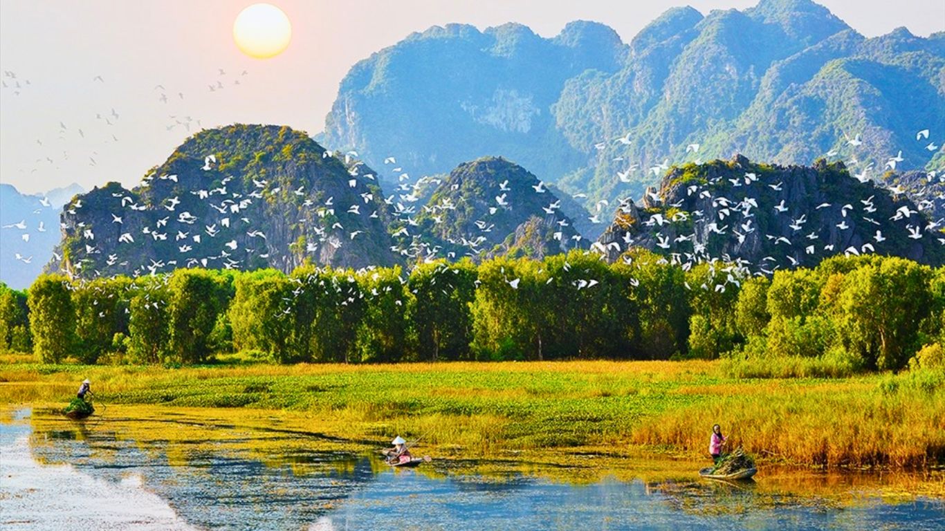 Van Long Nature Reserve Bird Watching