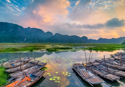 Van Long Nature Reserve Boat Tour – Tips to plan it a perfect Ninh Binh exploration