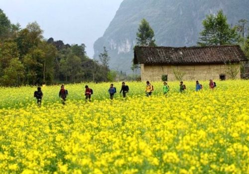 Ha Giang Loop in February: Weather, Crowd & Best Things To Do