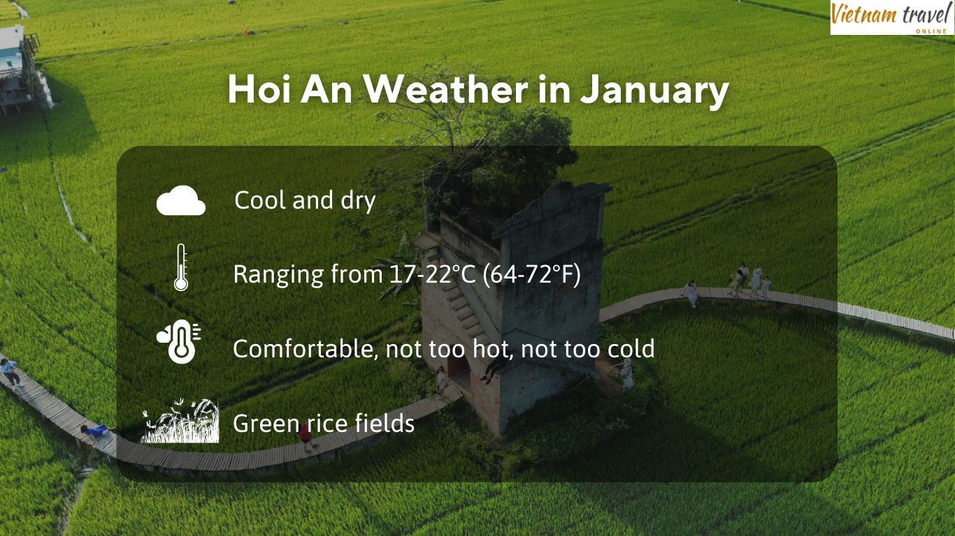 infographic about Hoi An weather in January overview