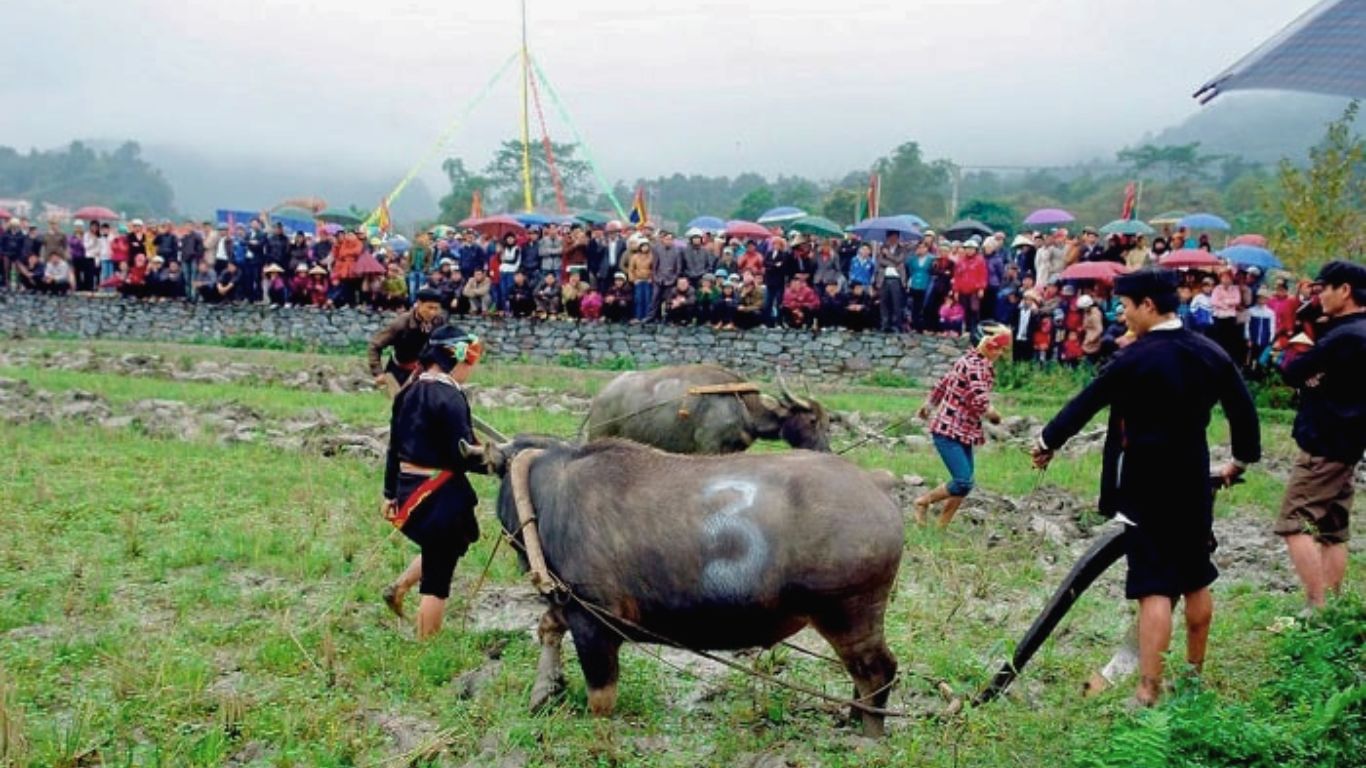 Long Tong festival in Ha Giang in February