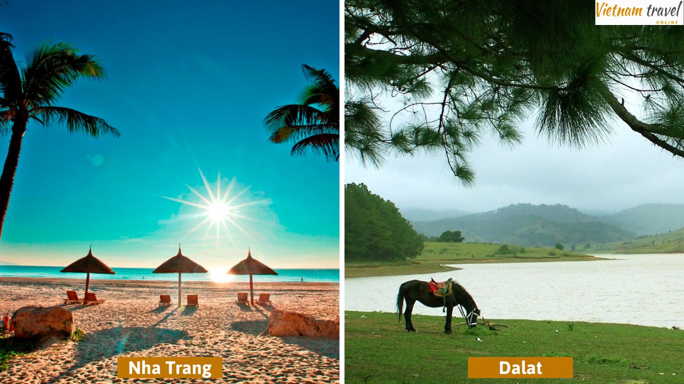 Charm of Nha Trang and Da Lat