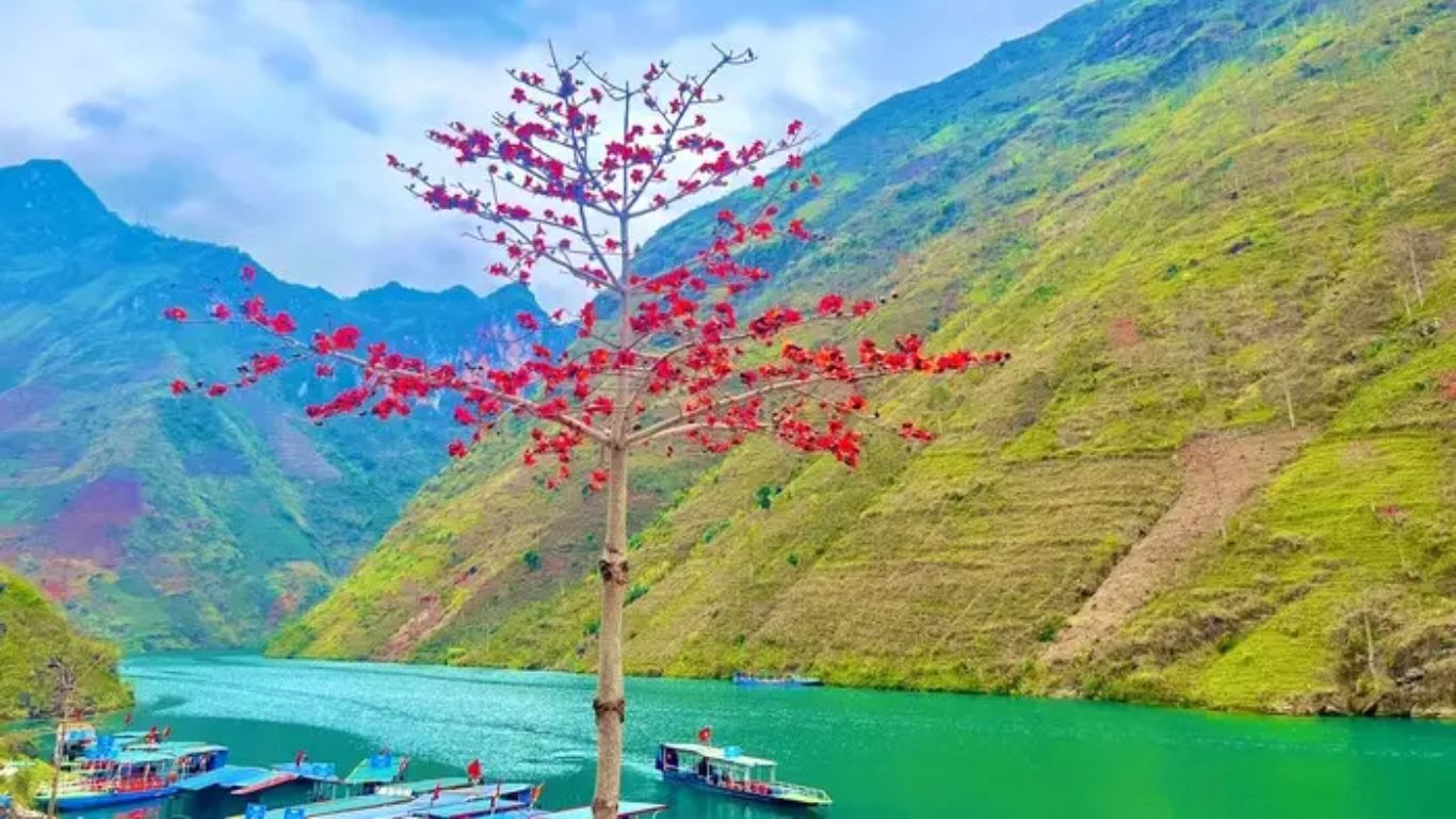 Nho Que River, Ha Giang in march