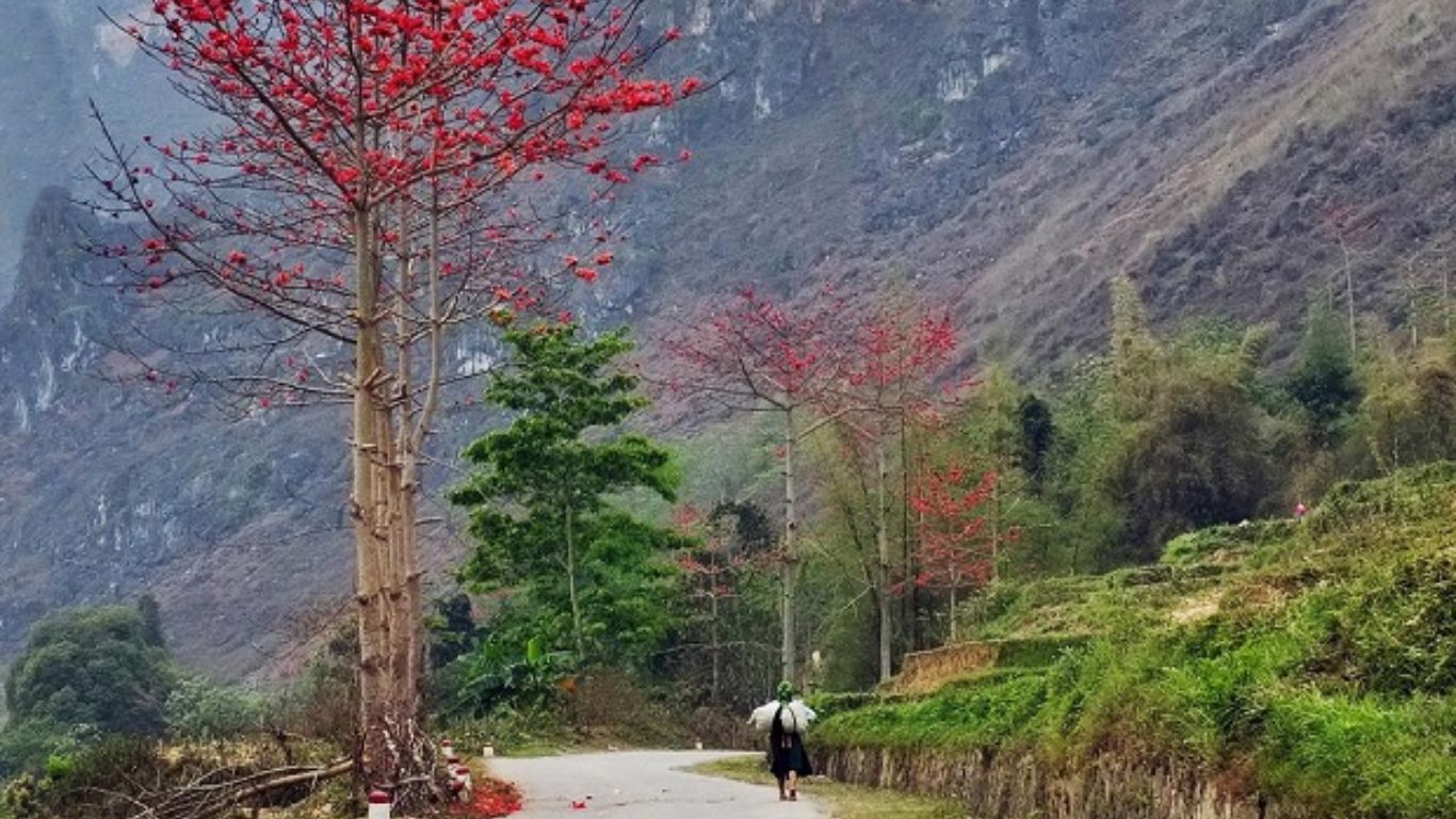 Trekking through beautiful villages in Ha Giang in March