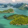 Local Vietnam- Fabulous